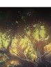 从大树开始进化